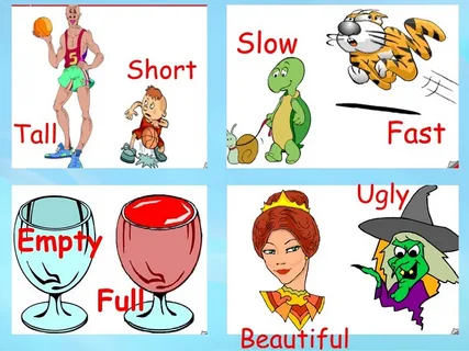 Irregular verbs